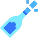 Champagne icon