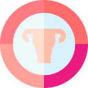 ciclo menstrual icon