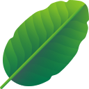 feuilles tropicales Icône