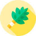 bétula 
