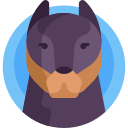 perro icon