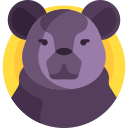 ratón icon