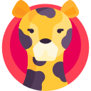 leopardo icon