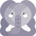 elefante