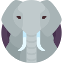 elefante icon