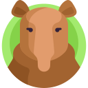 tapir icon