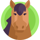 caballo icon