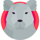 coala icon