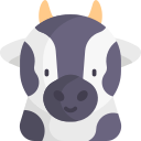 vaca