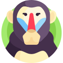 babuino icon