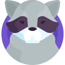 mapache icon