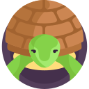 tortuga icon