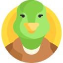 pato icon