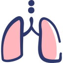 pulmones