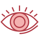 ojo icon