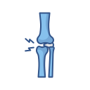 articulación de la rodilla icon