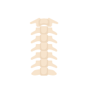 columna vertebral icon