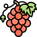 uvas icon