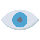 ojo icon