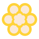 fiori icon