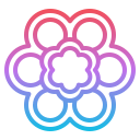 fiori icon