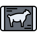 viande de mouton icon