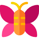 mariposa icon