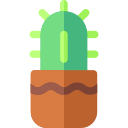 cactus icon