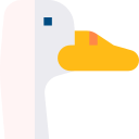 pato icon