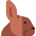 conejo icon