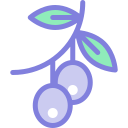 aceituna icon