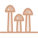 enoki icon