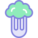 Celery icon