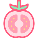 Tomato icon