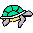 tortuga marina icon