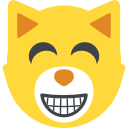 gato icon