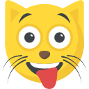 gato icon