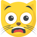 gato icon