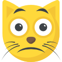 gato icon