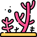 coral icon