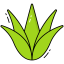 agave icon