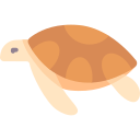 tortuga 