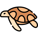 tortuga