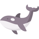 orca