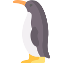 pingüino