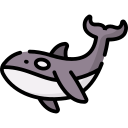 orca