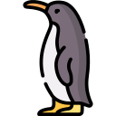 pingüino 