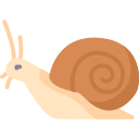 caracol