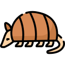 armadillo 