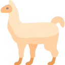 llama 